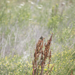 Profile picture of Dylan Hale