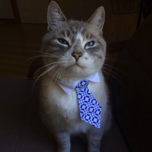 Profile photo of milo0226