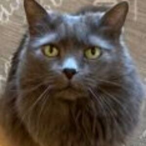 Profile photo of AmyandSerena